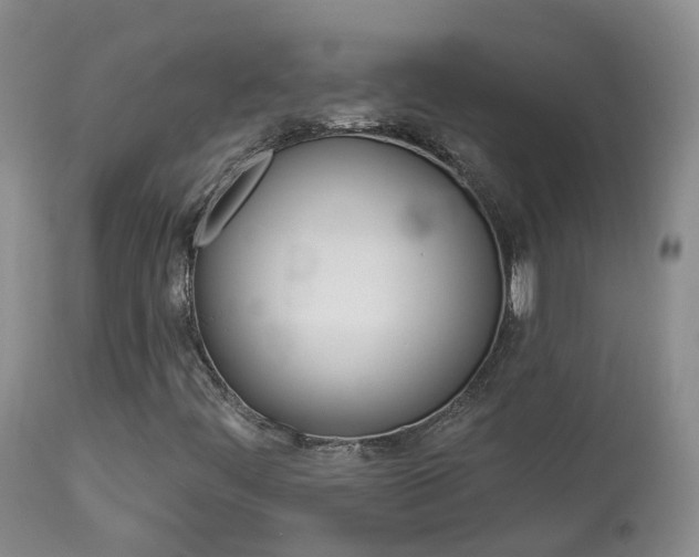 X0000113961444200909251015