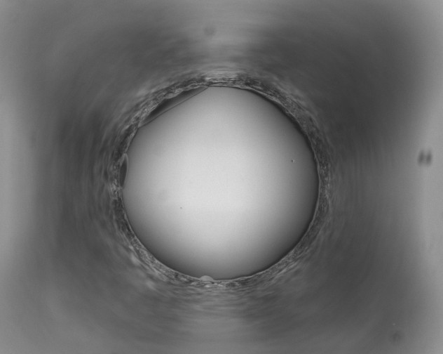 X0000113961445200909251015