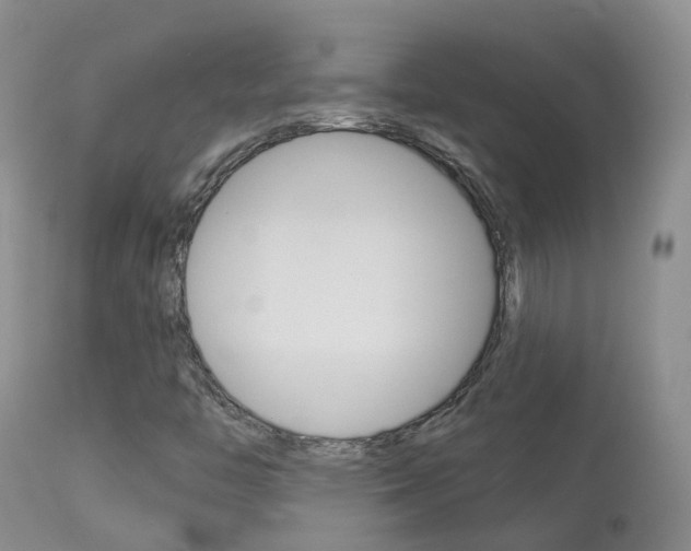 X0000113961446200909251015