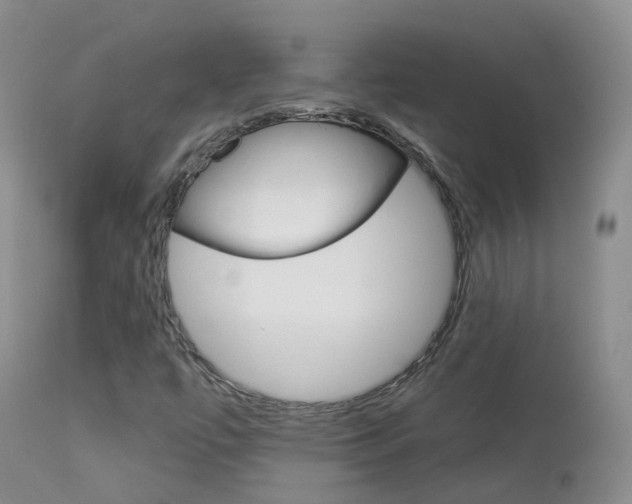 X0000113961447200909251015