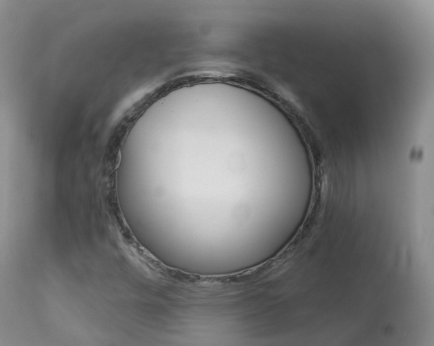 X0000113961448200909251015
