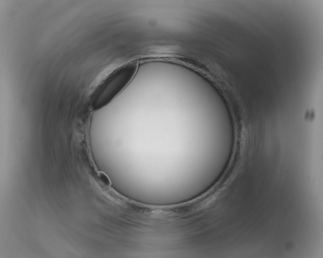 X0000113961449200909251015