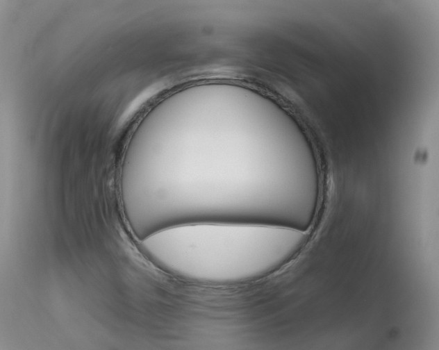 X0000113961450200909251015