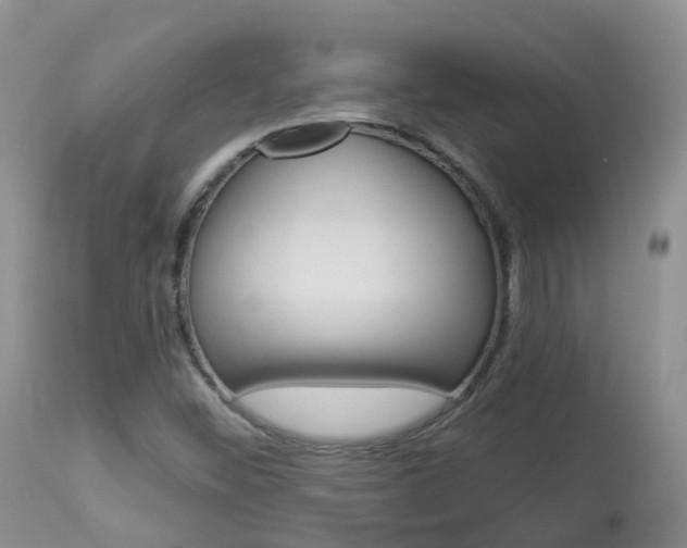 X0000113961452200909251015