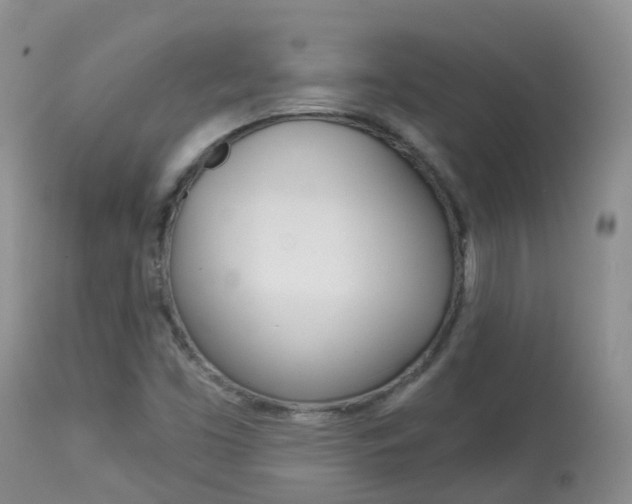 X0000113961453200909251015