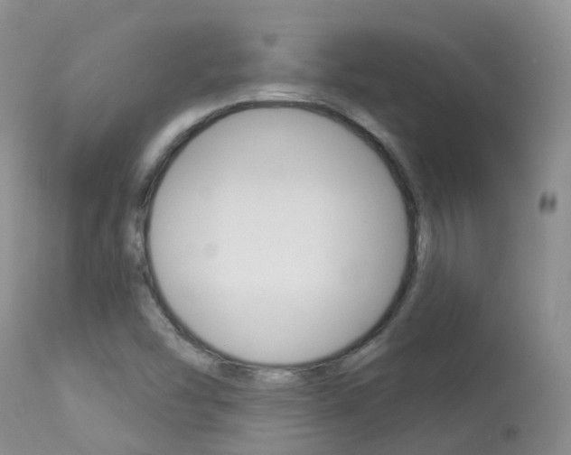 X0000113961454200909251015