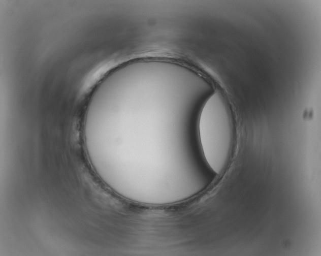 X0000113961455200909251015