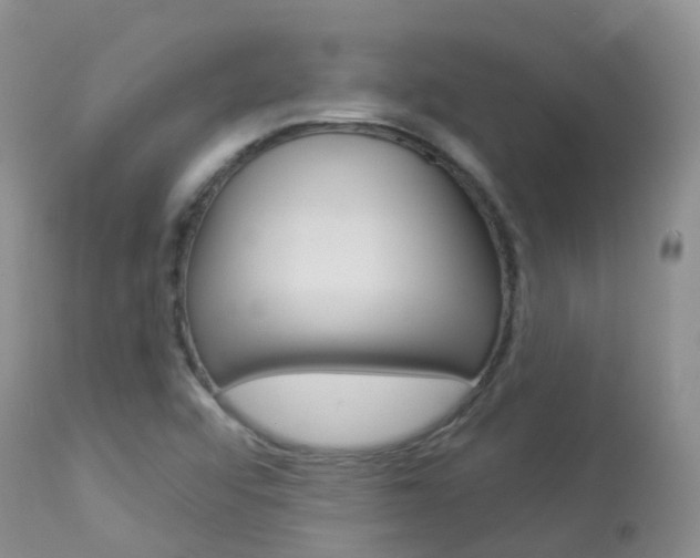 X0000113961456200909251015
