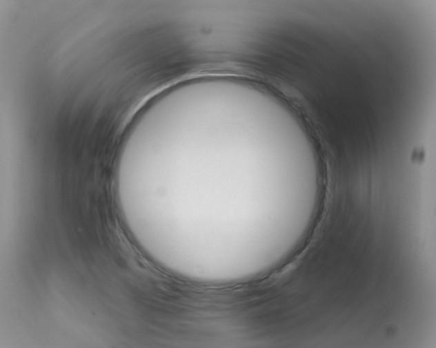 X0000113961457200909251015