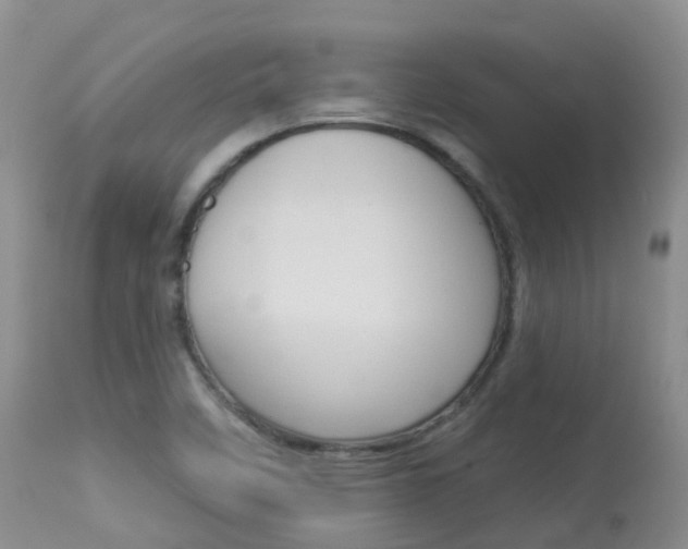 X0000113961458200909251015