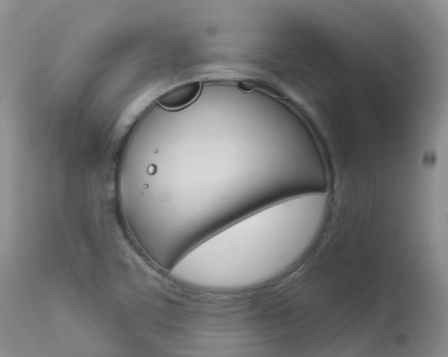 X0000113961459200909251015