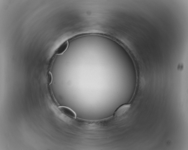 X0000113961460200909251015