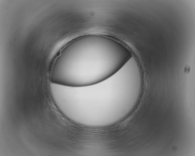 X0000113961461200909251015