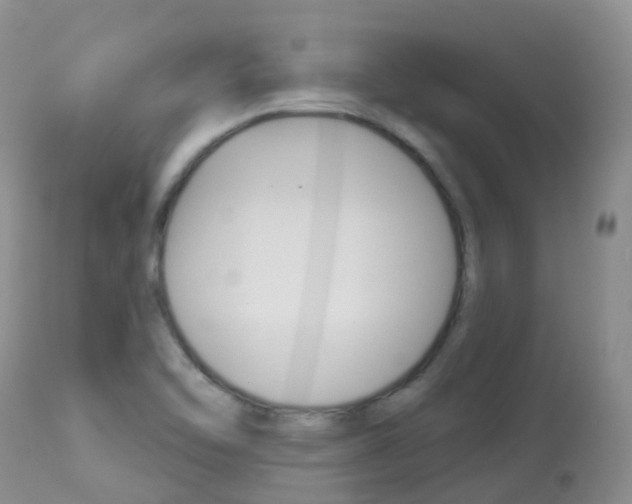 X0000113961462200909251015