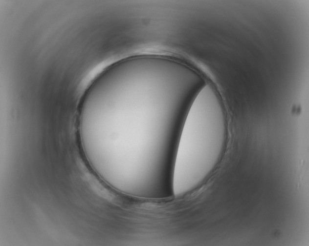 X0000113961463200909251015