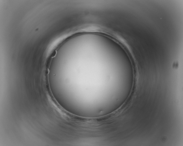 X0000113961464200909251015