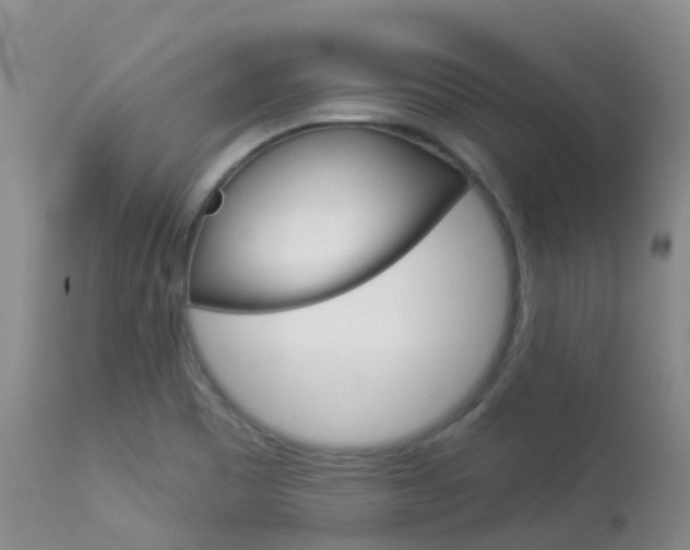 X0000113961465200909251015