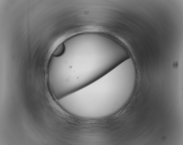 X0000113961467200909251015