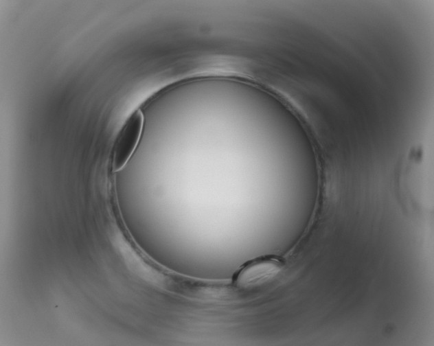 X0000113961468200909251015