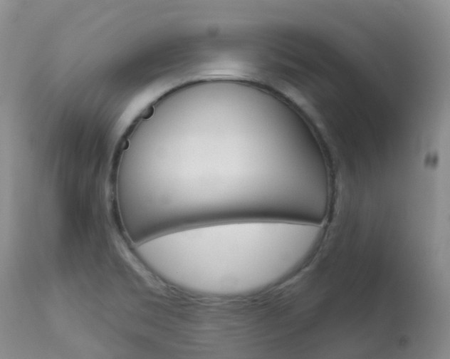 X0000113961469200909251015