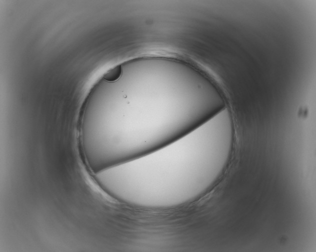 X0000113961471200909251015