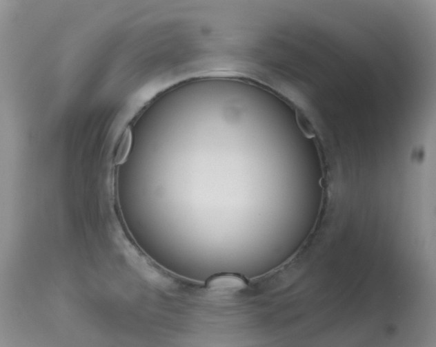 X0000113961472200909251015