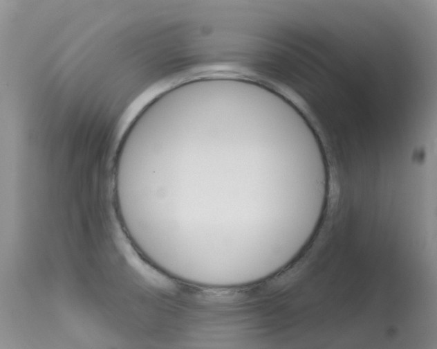 X0000113961474200909251015