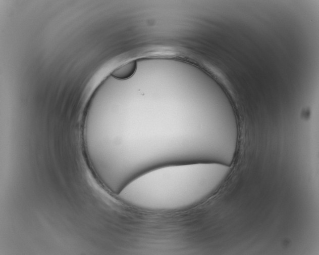 X0000113961475200909251015