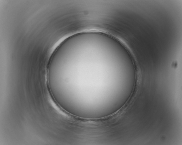 X0000113961476200909251015