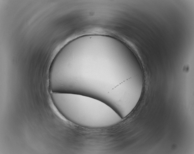X0000113961479200909251015