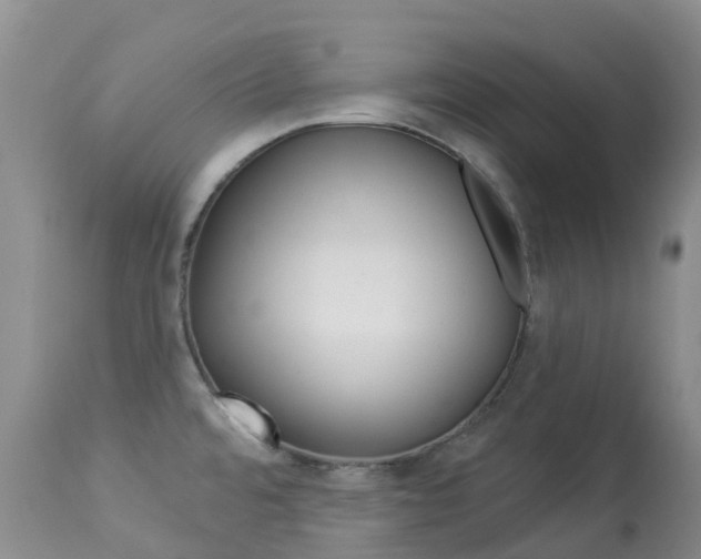 X0000113961480200909251015