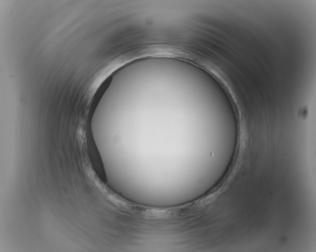 X0000113961481200909251015