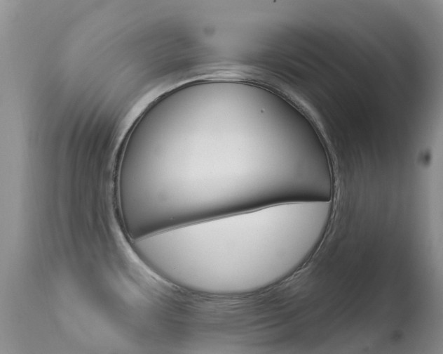 X0000113961483200909251015