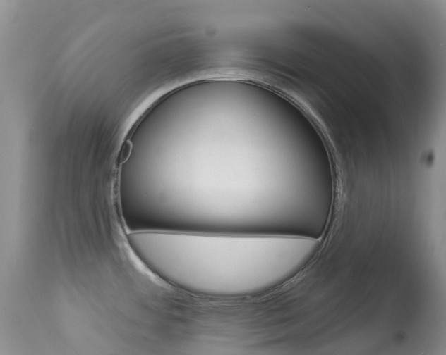 X0000113961484200909251015