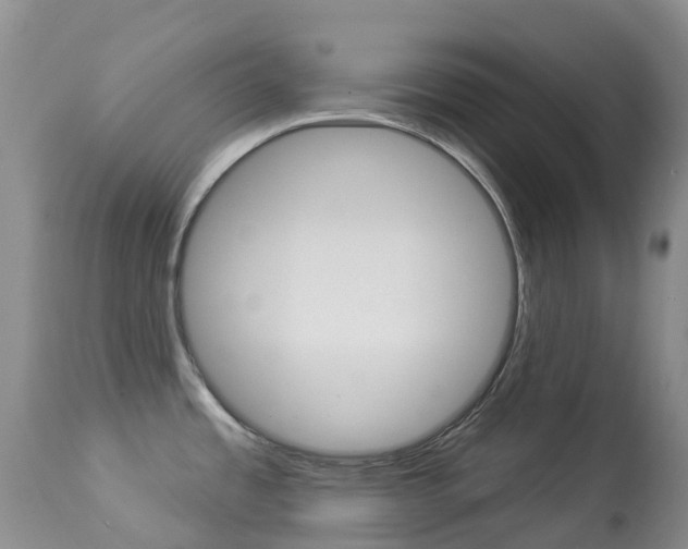 X0000113961485200909251015