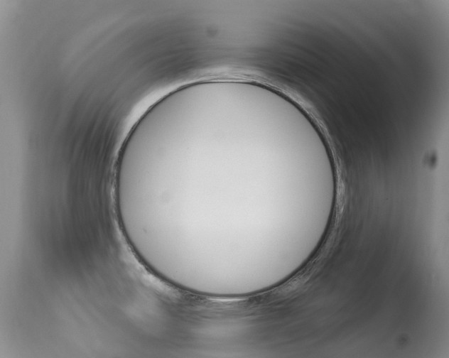 X0000113961486200909251015