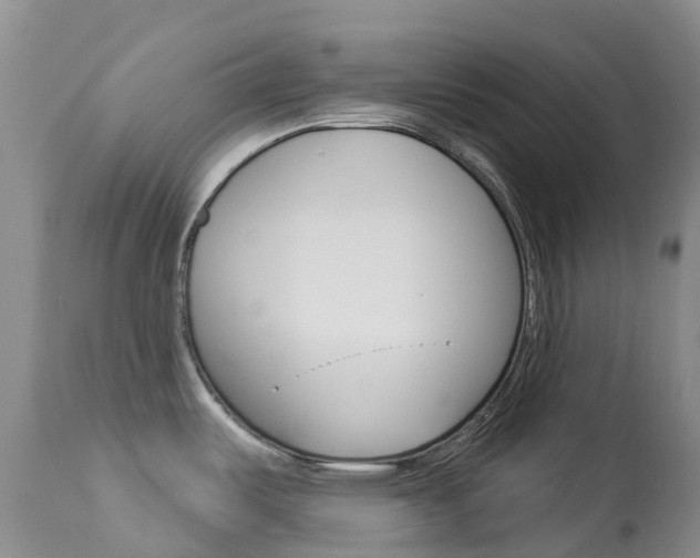 X0000113961487200909251015
