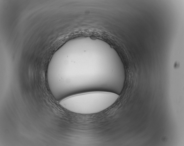 X0000113961489200909251014