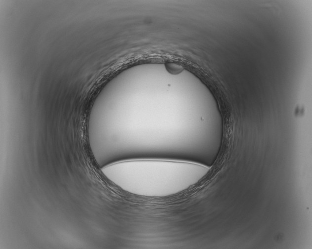 X0000113961490200909251014