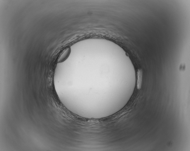 X0000113961491200909251014