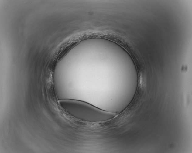 X0000113961492200909251014