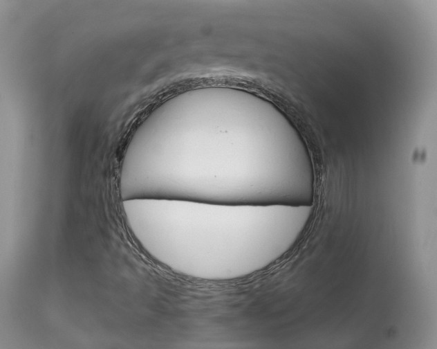 X0000113961493200909251014