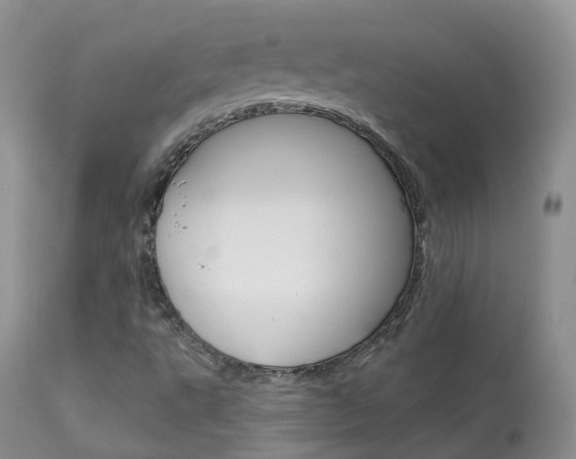 X0000113961495200909251014