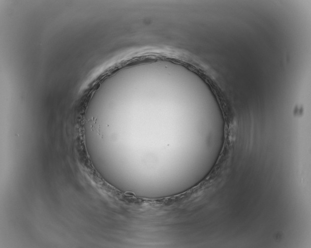 X0000113961496200909251014