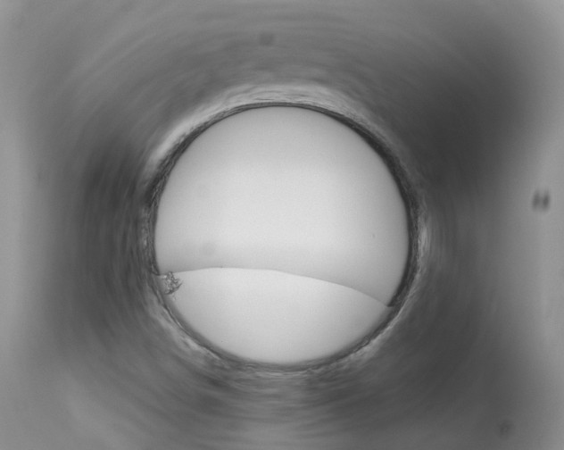 X0000113961498200909251014