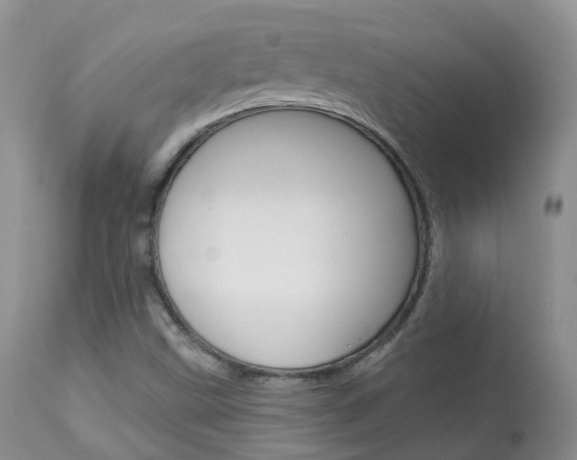 X0000113961499200909251014