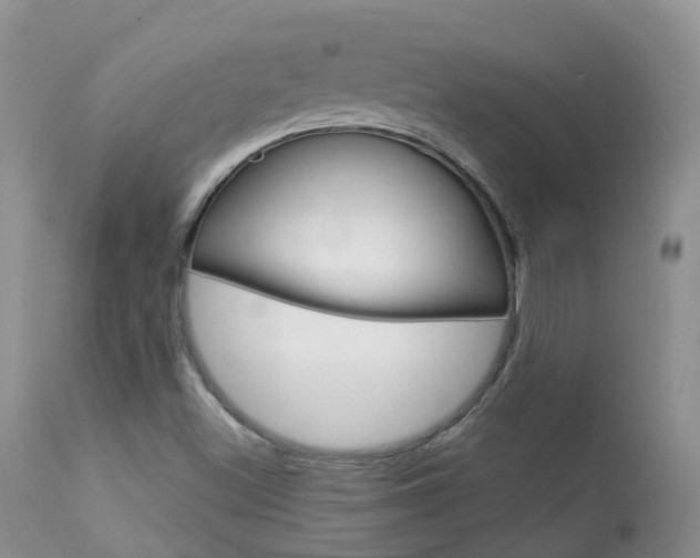 X0000113961500200909251014