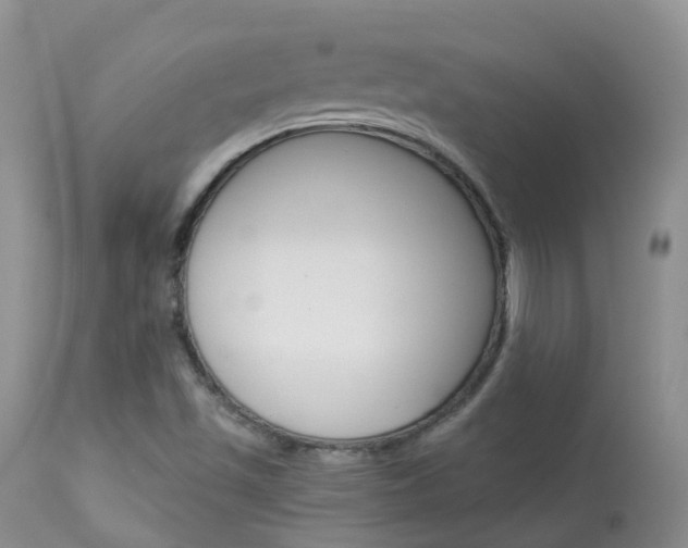 X0000113961501200909251014
