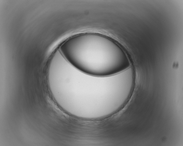 X0000113961502200909251014