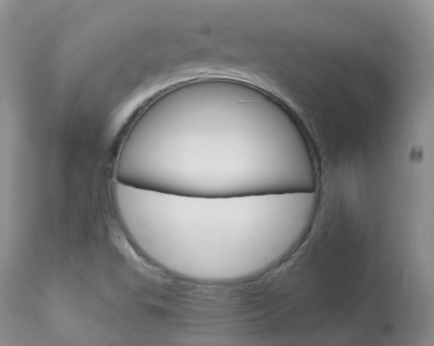 X0000113961503200909251014